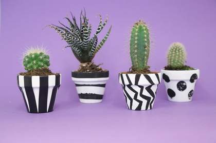 Two photographs of four painted plant pots 