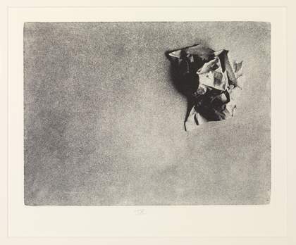 Liliana Porter, Wrinkle 1968