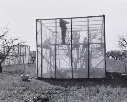 Larry Sultan and Mike Mandel, Untitled 1977, printed 2001, from Evidence 1977