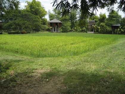 Part of the self sustaining community near the village of Sanpathong Chaing Mai Thailand initiated by Rirkrit Tiravanja and Kamin Letchaipresert photo of trees fields and wooden hut structures 