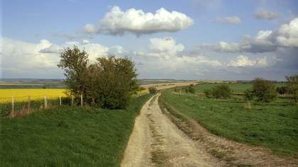 Patrick Keiller Robinson in Ruins film still