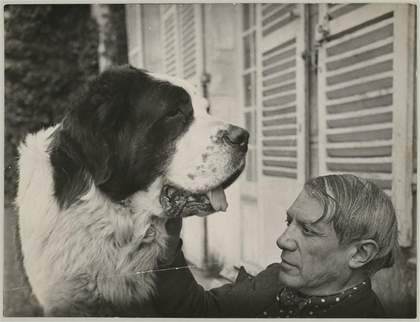 A large dog faces Picasso in a chair