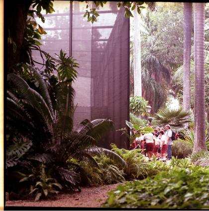 National Botanical Gardens, Havana, Cuba, image (c) Eva Sajovic