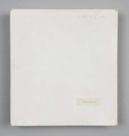 Simon Cutts Poinsettia Coracle Press, London 1975