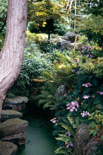 Pond and stepping stones, Broughton House