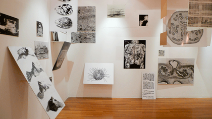 Retracing Exhibitions, curated by Kari Conte and Florence Ostende, Royal College of Art, London, March 2009