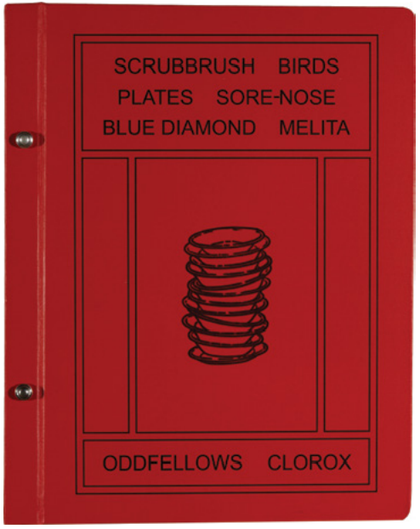 Robert Therrien Cover of Scrubbrush Bird Book