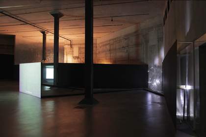 Sung Hwan Kim, Dog Video 2006, From the commanding heights… 2007, Washing Brain and Corn 2010, Temper Clay 2012