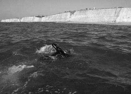 Simon Faithfull 0°00 Navigation 2009