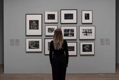 Woman looking at photographs in gallery