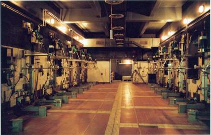 Stills from Tacita Dean Kodak