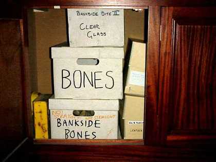 Display, Tate Thames Dig, 1999