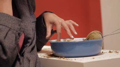 Cara Tolmie Pley 2013 video still