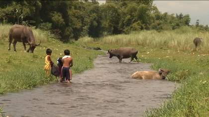 John Gianvito, Vapor Trail (Clark)