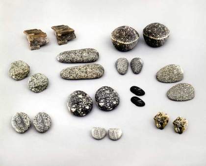 Vija Celmins To Fix the Image in Memory 1977–82