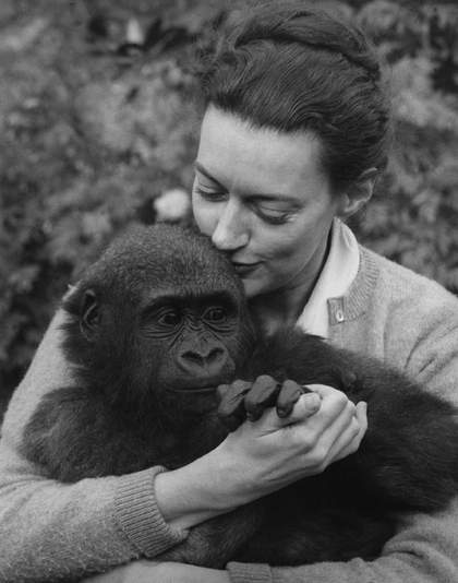 Wolf Suschitzky Beatrice with ape 