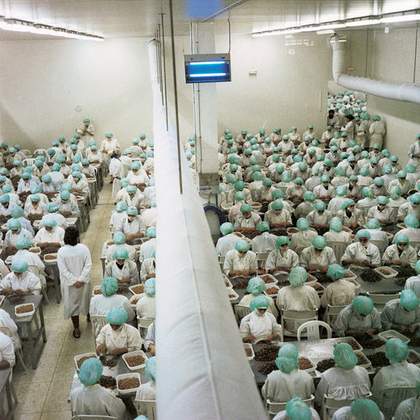 Yto Barrada Prawn processing plant in the Free Trade Zone Tangier 1998 photograph of a room of factory workers wearing green caps and white overalls 